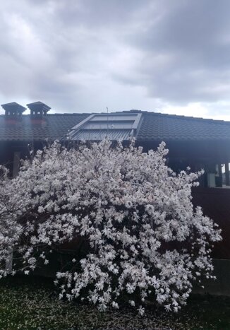 img_20250401_191143.jpeg