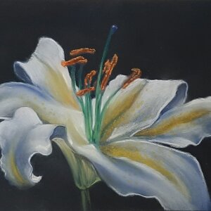 img_20231118_185834_597