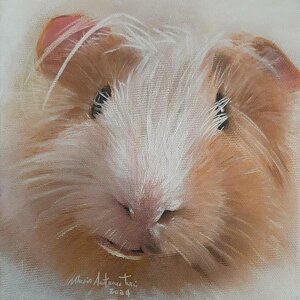 dc51de2f9fcdc0b6c450821c459e78e41f8a572c