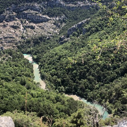 img_5728.jpeg img_5728.jpeg