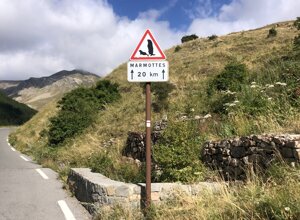 rocce%20rosse%20nelle%20gorges%20du%20daluis.jpeg rocce%20rosse%20nelle%20gorges%20du%20daluis.jpeg