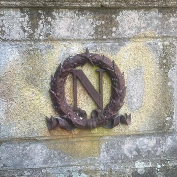 stemma di napoleone.jpeg