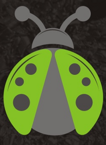 coccinella grande verde
