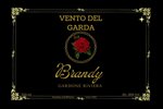 brandy-vento-del-garda