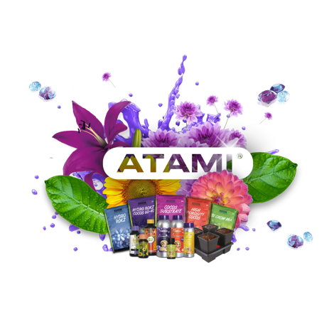 11960_8f04fa4389c26ac9e052ed1d35c4dff4b58f9058