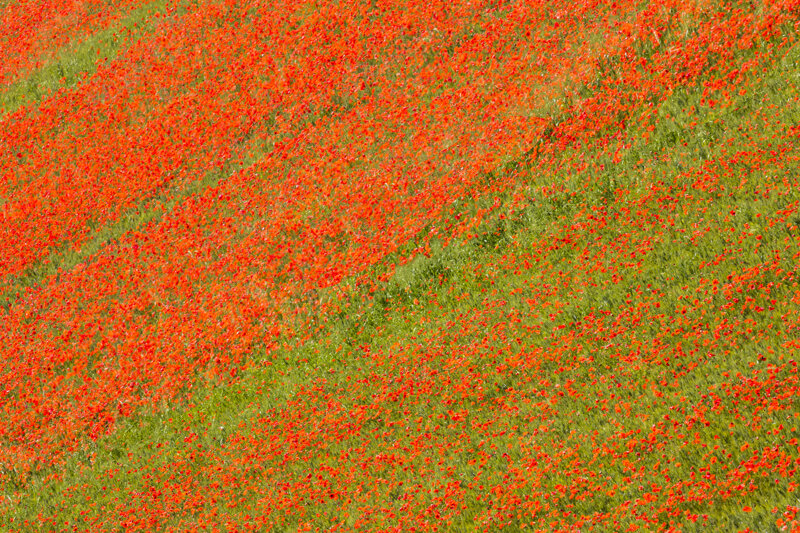 forme-e-geometria-80