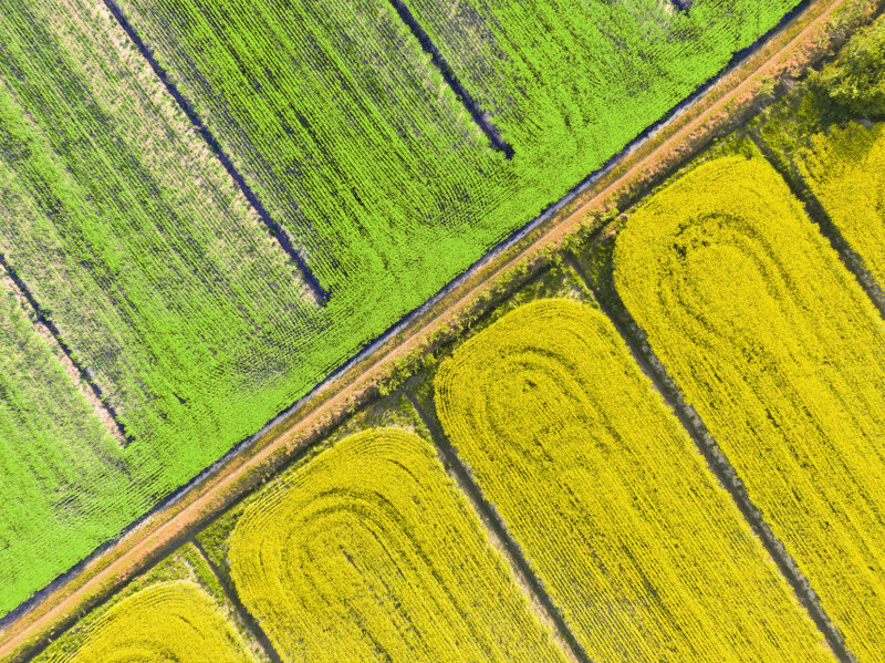 forma-e-geometria-53