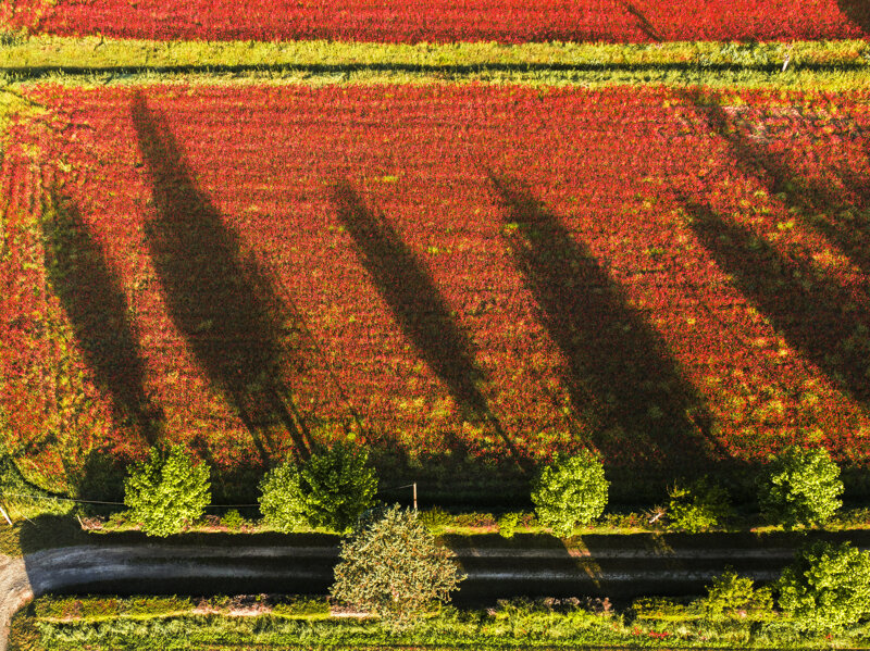 forma-e-geometria-55