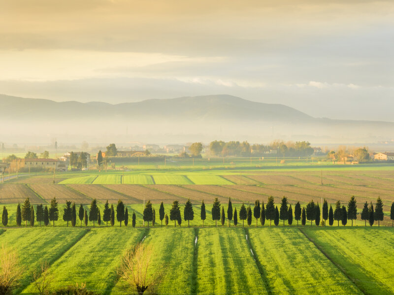 forme-e-geometria-88