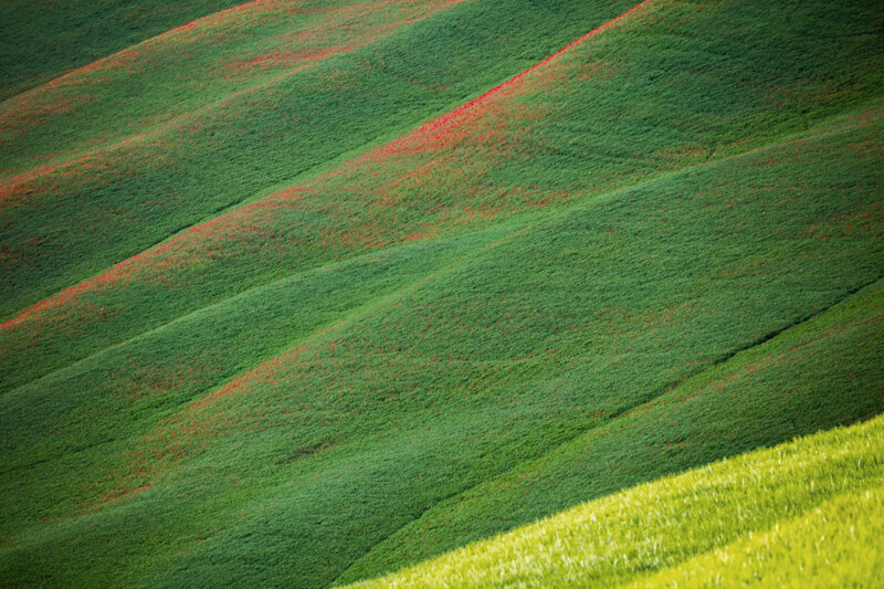 forma-e-geometria-33