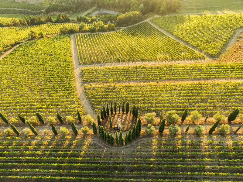 forma-e-geometria-45