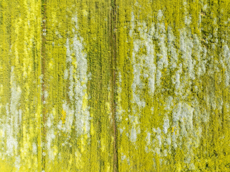 forme-e-geometria-97