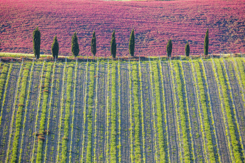 forme-e-geometria-99