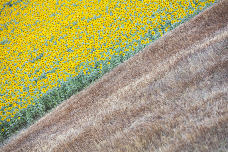 forma-e-geometria-13