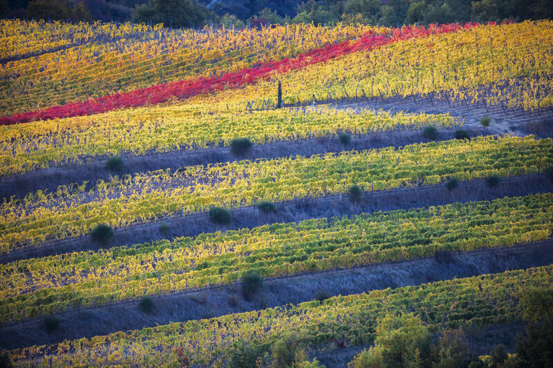 forma-e-geometria-65