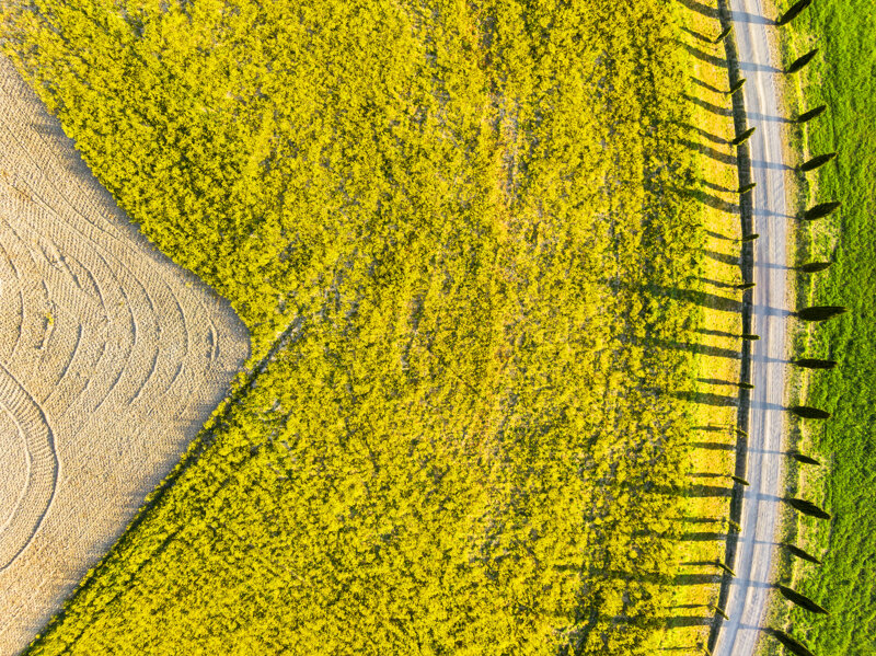 forma-e-geometria-51