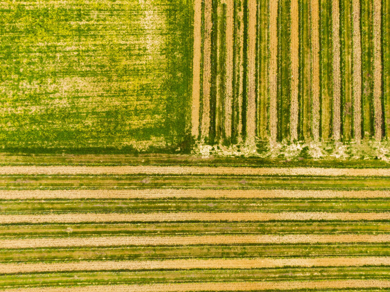 forma-e-geometria-31