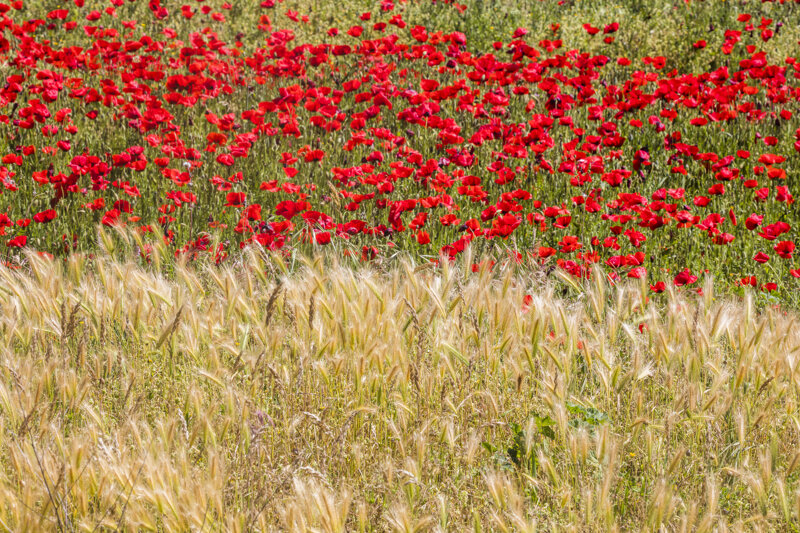 forme-e-geometria-96