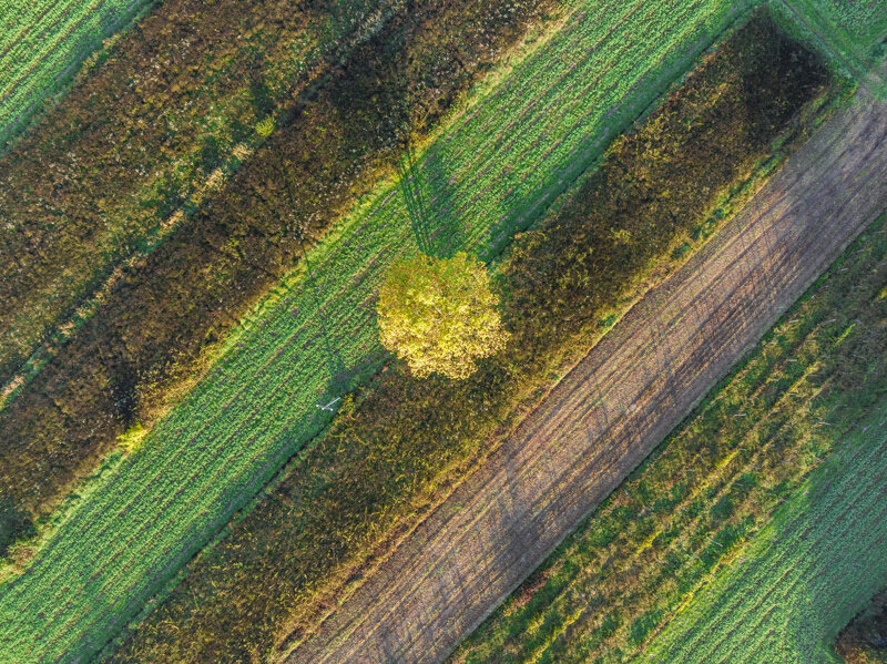 forme-e-geometria-106