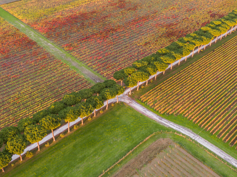 forma-e-geometria-67