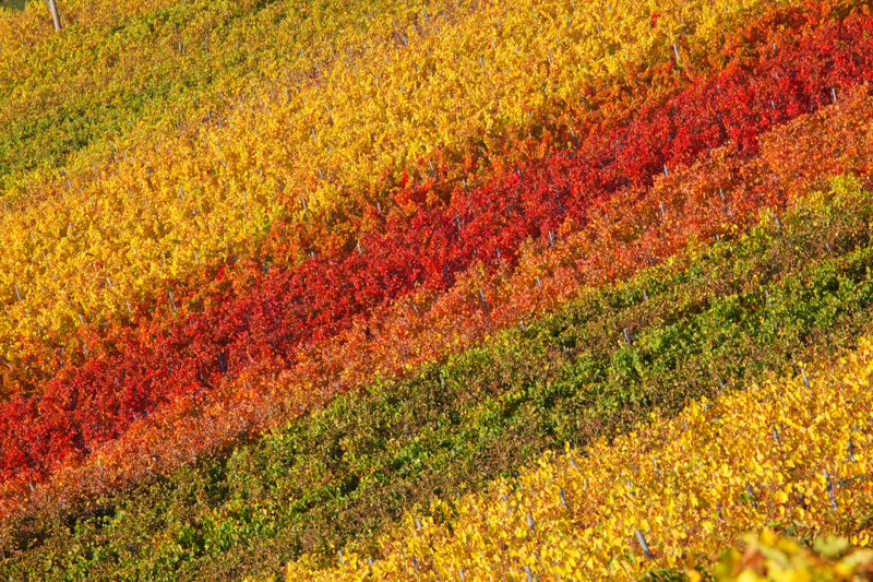 forma-e-geometria-04