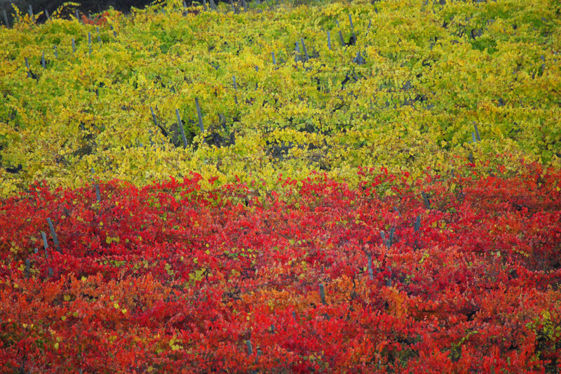 forma-e-geometria-06