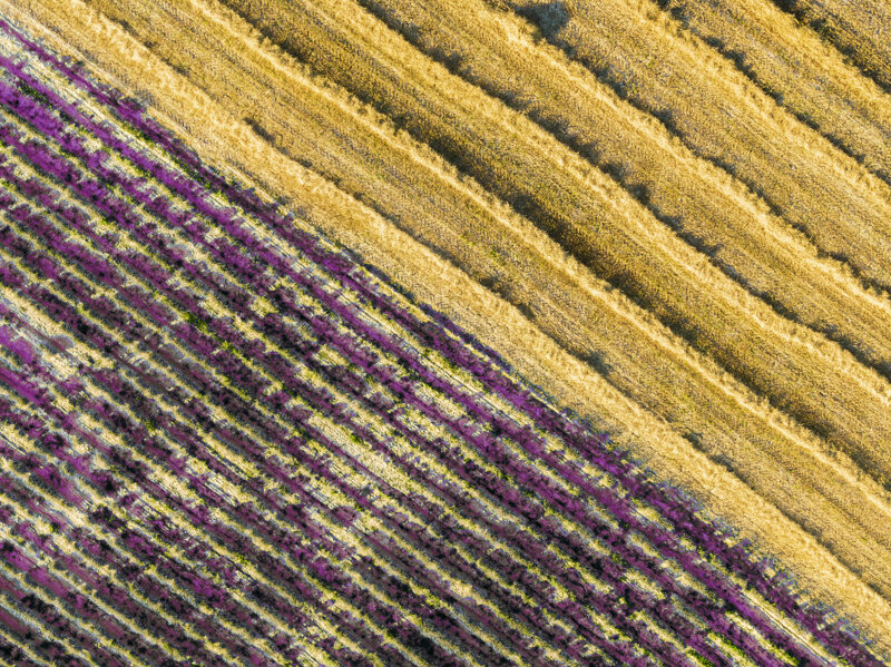 forma-e-geometria-38