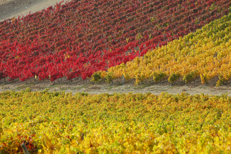 forma-e-geometria-05