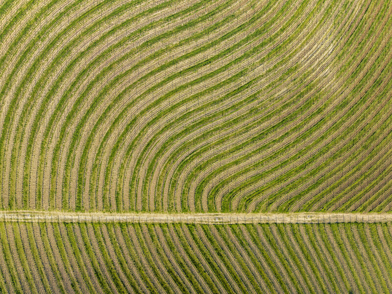 forme-e-geometria-94