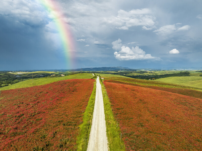 forme-e-geometria-100