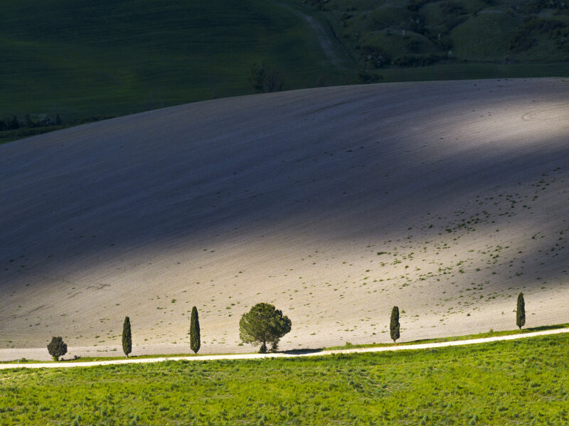 forme-e-geometria-103