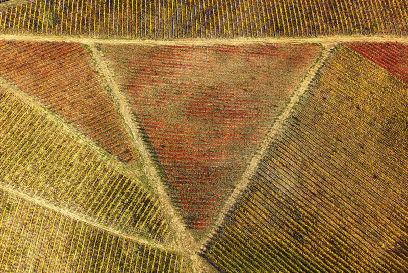 forma-e-geometria-11