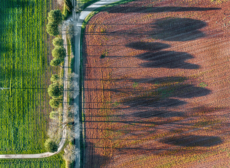 forme-e-geometria-102