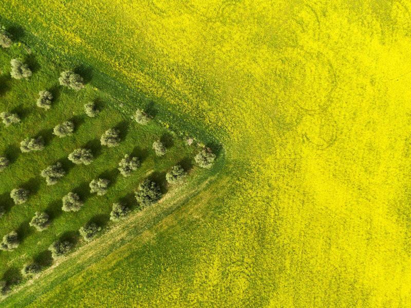 forma-e-geometria-30