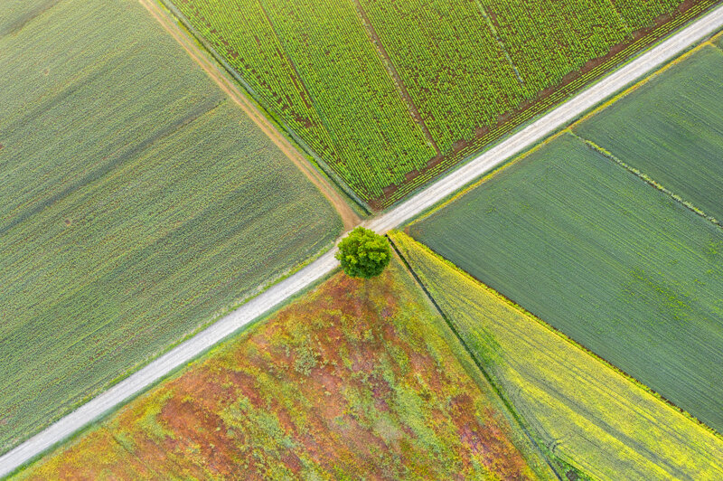 forme-e-geometria-82