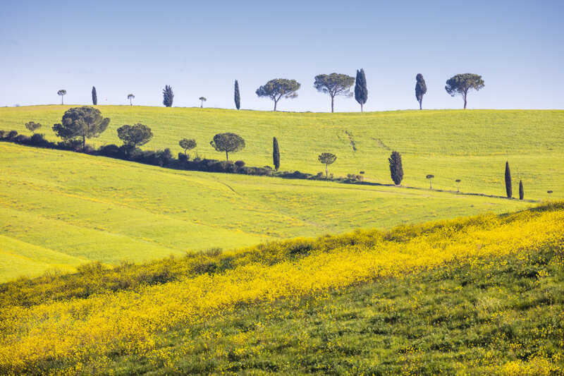 forme-e-geometria-93