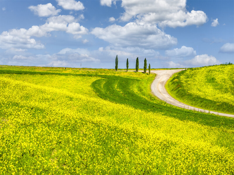 forme-e-geometria-113