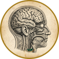 processi cognitivi processi cognitivi