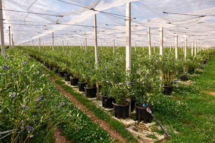 52428b0c-8681-445f-a515-97e386cca3ea.jpeg 52428b0c-8681-445f-a515-97e386cca3ea.jpeg