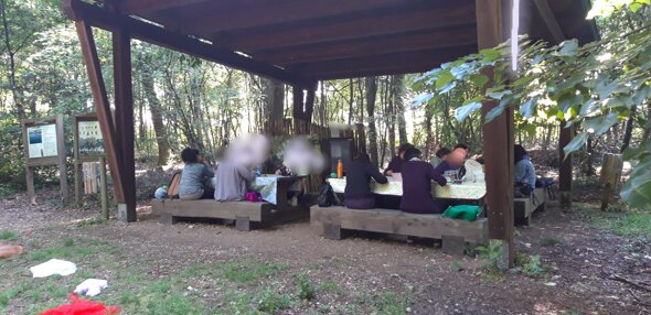 20250524_191552.jpeg