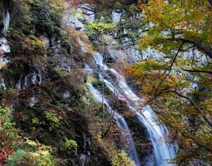 img_9247.jpeg