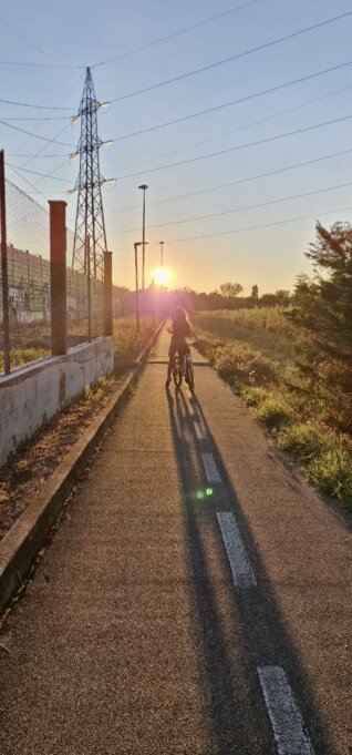 img_8201.jpeg