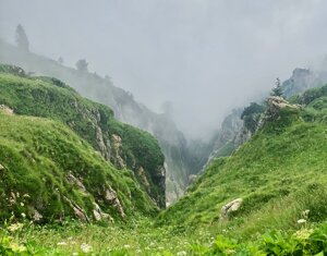 img_0345.jpeg