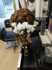 12033_86ac89c9ebfab6eed7dbdf778feae85bc6d7f0c0