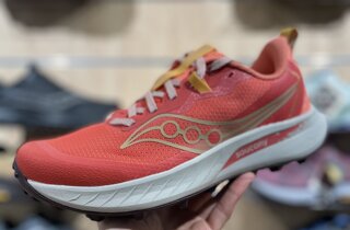 img_2516.jpeg img_2516.jpeg