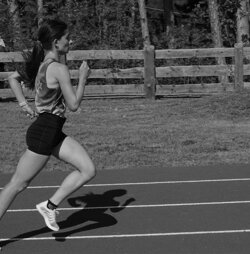 pattini.jpeg pattini.jpeg