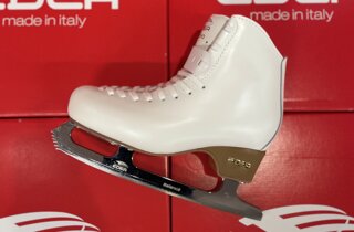 img_2229.jpeg img_2229.jpeg