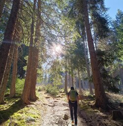 vipole%20logo.jpeg vipole%20logo.jpeg