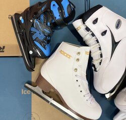 img_2866.jpeg img_2866.jpeg