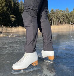 img-20250603-wa0046.jpeg img-20250603-wa0046.jpeg